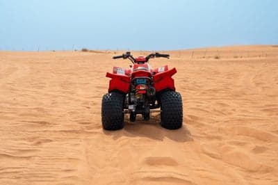 Kymco Mongoose KID model